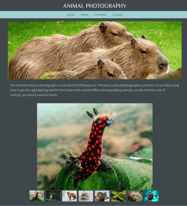 screenshot of animals/index.html